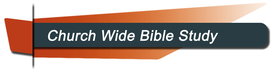 Church Wide Bible Study